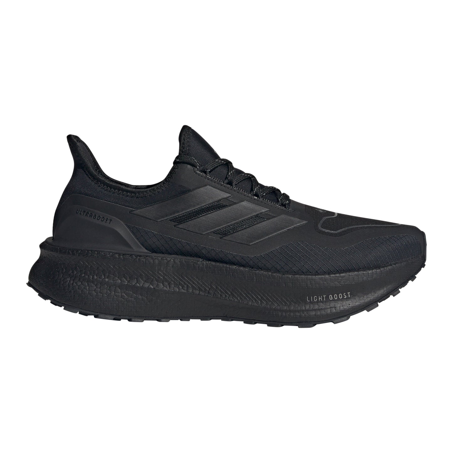 adidas Ultraboost 5 GTX Neutral sko Herrer - sort