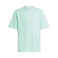 Future Icon Logo T-shirt Drenge - mint,