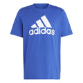 Big Logo Single Jersey T-shirt Herrer - blå, hvid