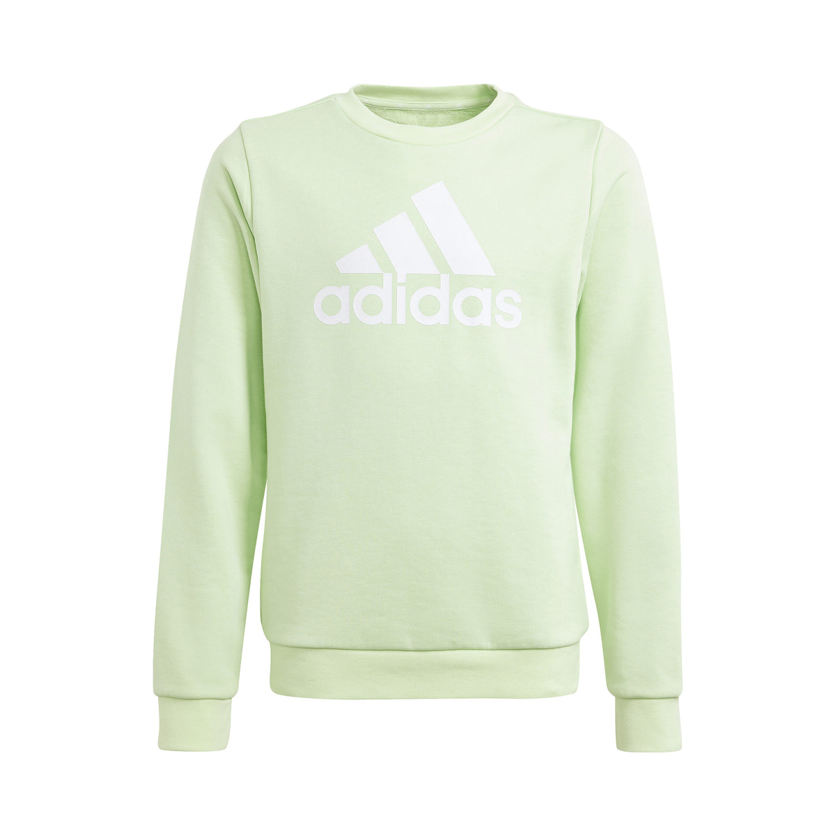 adidas Big Logo Sweatshirt Pige - lysegrøn,