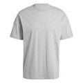 All SZN T-shirt Herrer - grå,