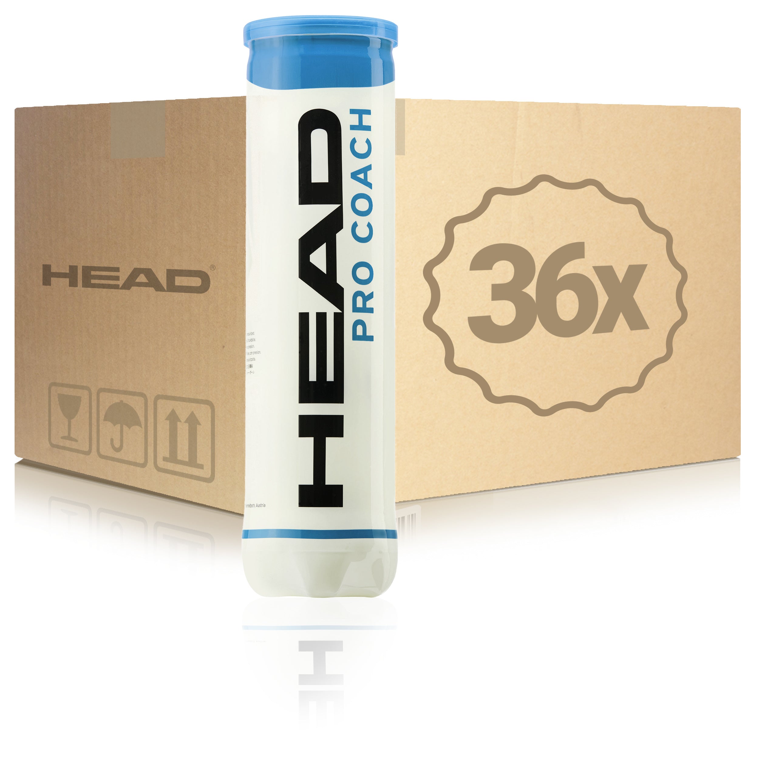 HEAD 36x dåse med 4 Pro Coach I karton