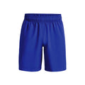 Woven Graphic Shorts Herrer - blå,