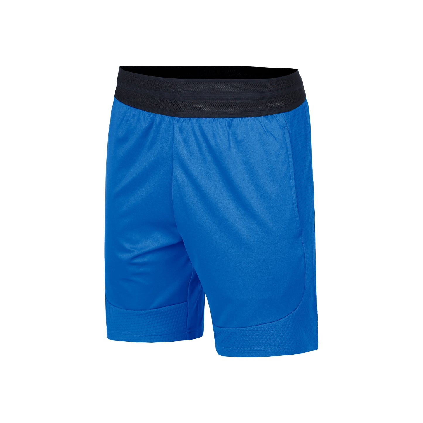 Lacoste Shorts Herrer-Blå