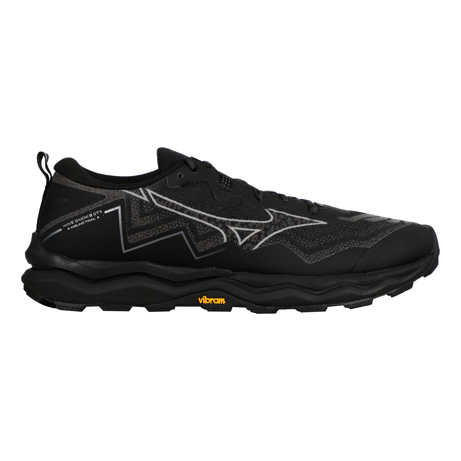Mizuno Wave Daichi 9 GTX                   Trailsko Herrer-sort, grå