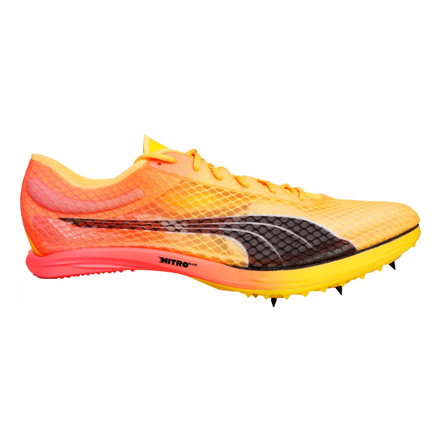Puma EvoSPEED Distance Nitro Elite+ 2 Spikes-Gul,Orange