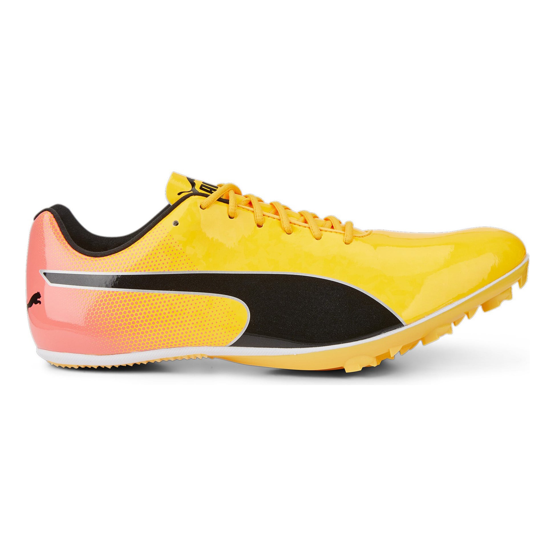 Puma EvoSPEED Sprint 14 Spikes-Gul,Orange
