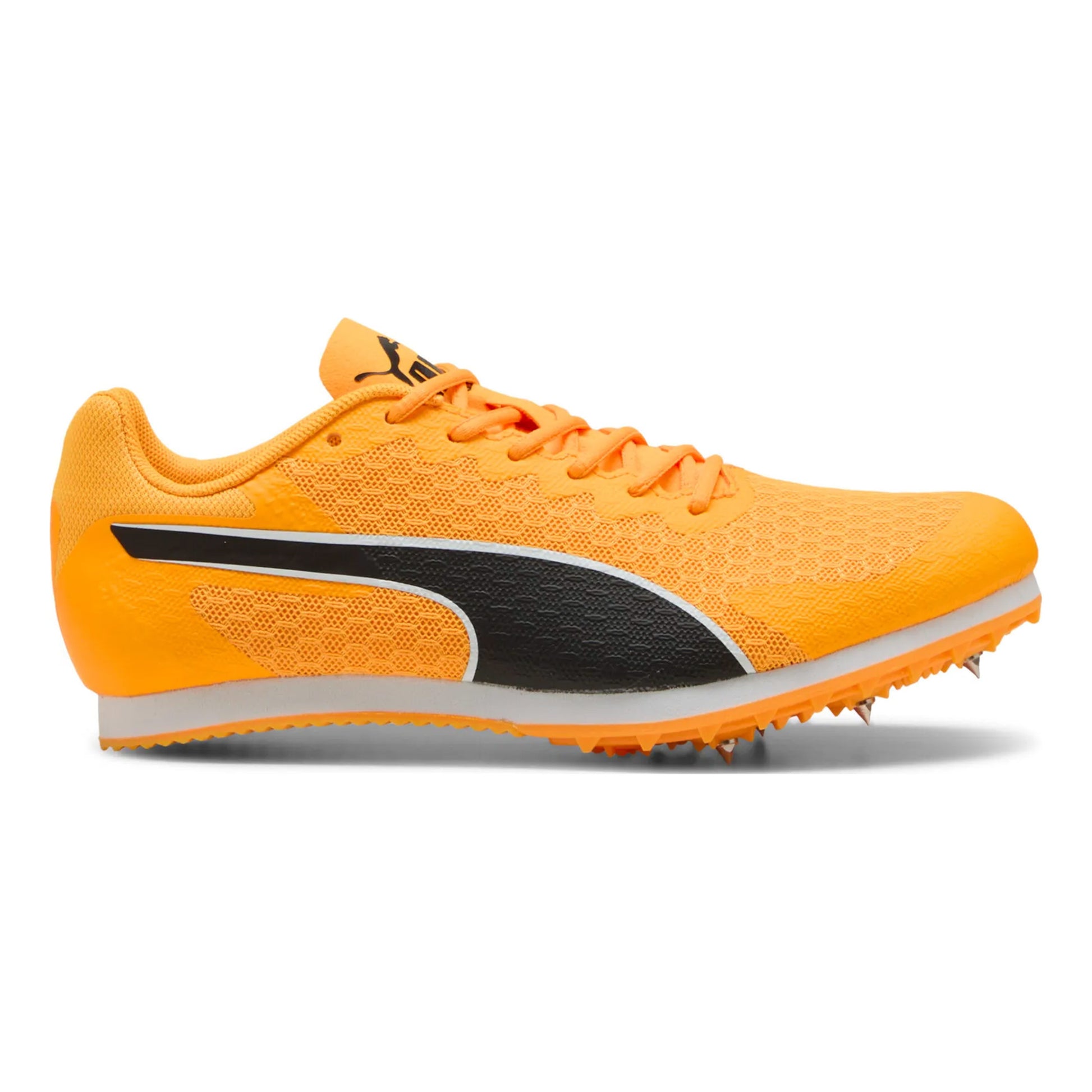 Puma evoSPEED Star 9 Spikes Børn - orange, sort