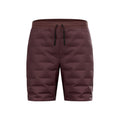 Zeroweight Insulator Løbeshorts Herrer - brun,