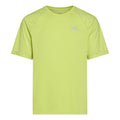 lime_8439
