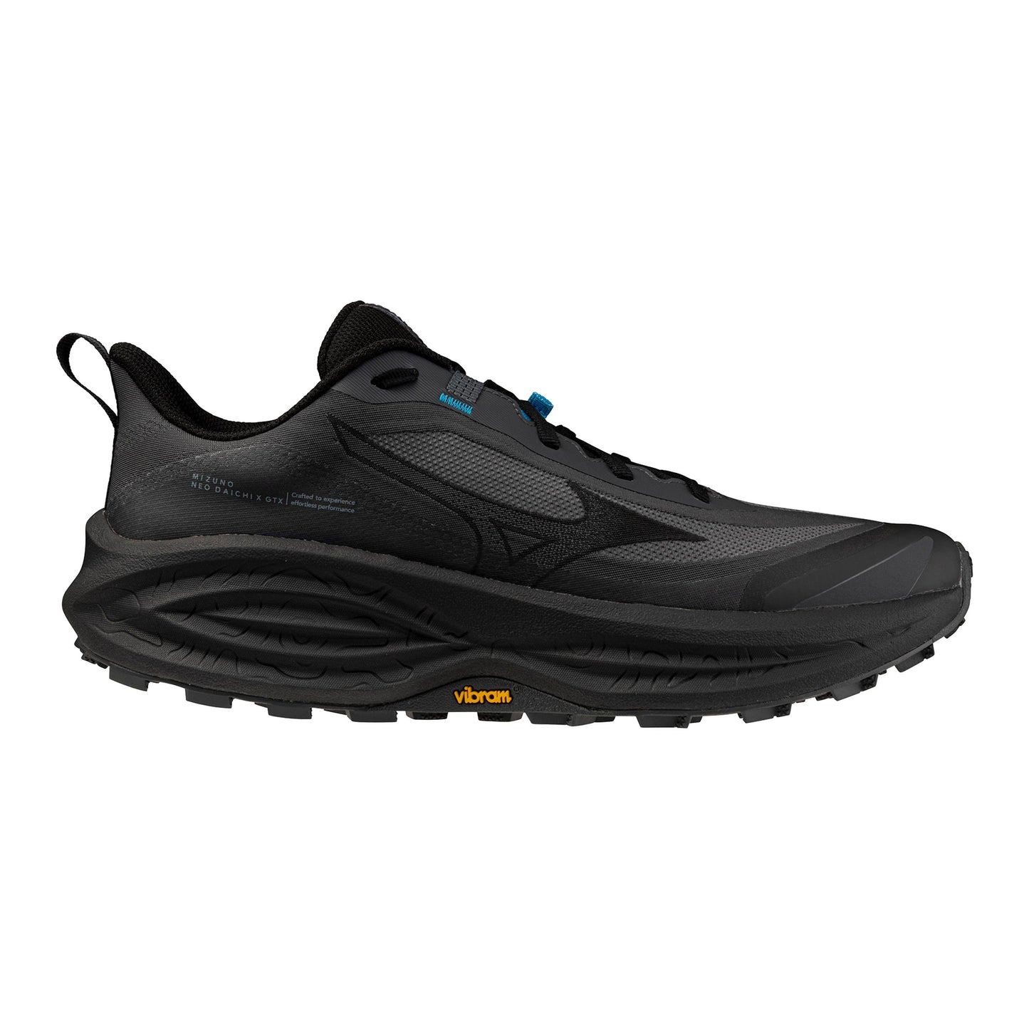 Mizuno Neo Daichi 10 GTX  Trailsko Herrer - mørkegrå, grå