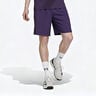 Y-3 Ergo Shorts Herrer-Lilla