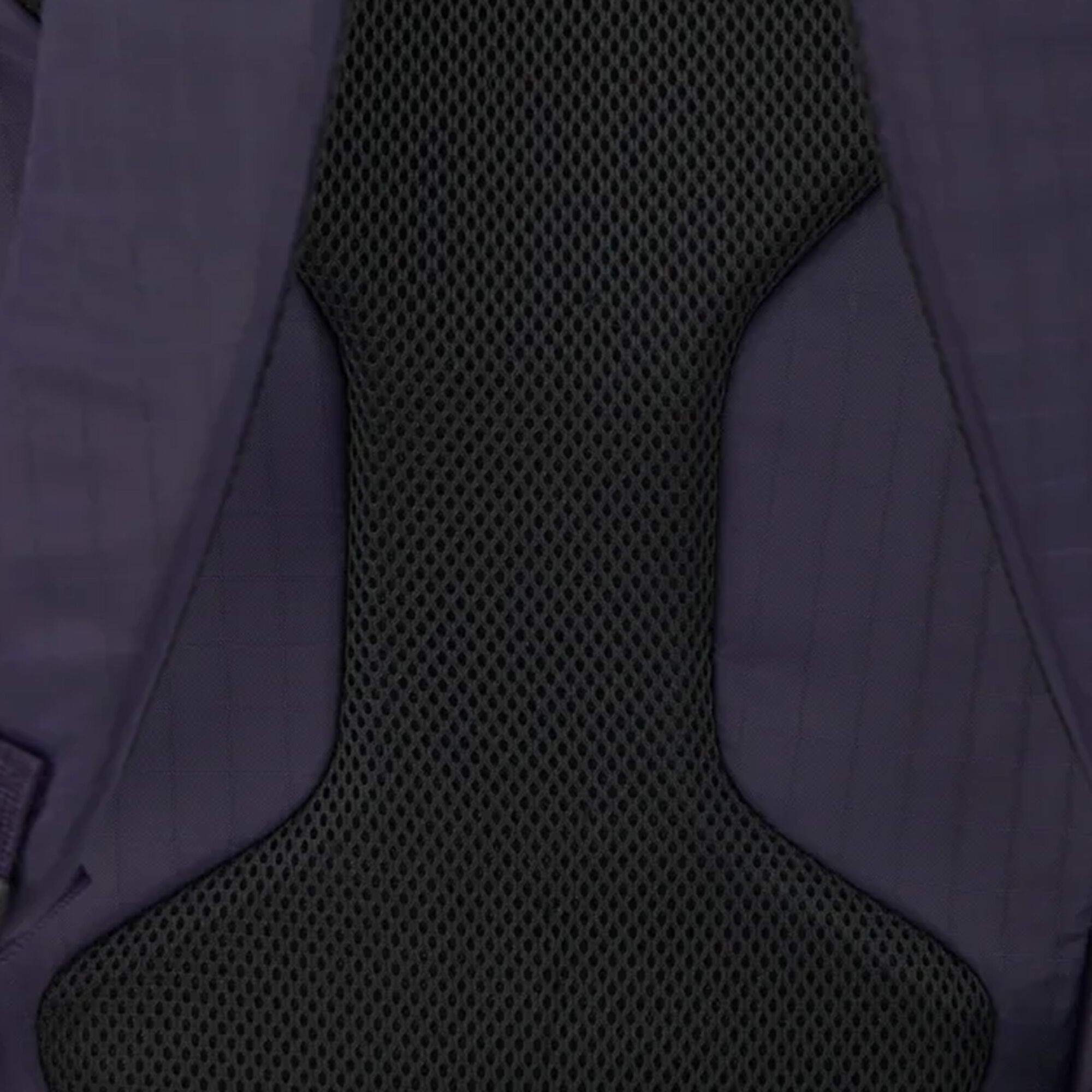 HEAD
