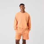 Björn Borg Tøj Björn Borg Borg Oversized Washed Sweatshirt Herrer-Orange