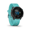 Garmin
