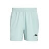D4T Essentials 7Inch Shorts Herrer-mint