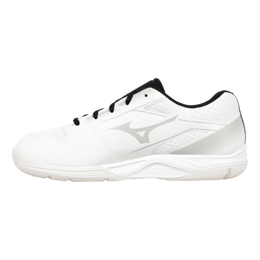 Mizuno