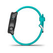 Garmin