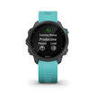 Garmin