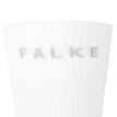 Falke