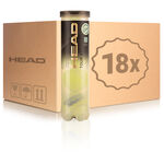 HEAD Bold med indvendigt tryk HEAD Tour XT Dåse Med 4