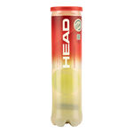 HEAD Tennisbold HEAD Championship Dåse Med 4