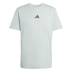 adidas Tennist&oslash;j adidas Climacool Identitiy Graphic T-shirt Herrer-vis
