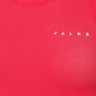 Falke