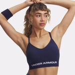 Under Armour Tøj Under Armour Vanisheamle Low Sports-BH Damer-Blå