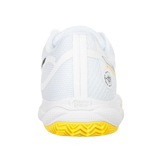 Mizuno