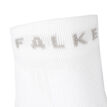 Falke