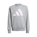 adidas T&oslash;j adidas Essentials Sweatshirt B&oslash;rn-Gr&aring;,Hvid