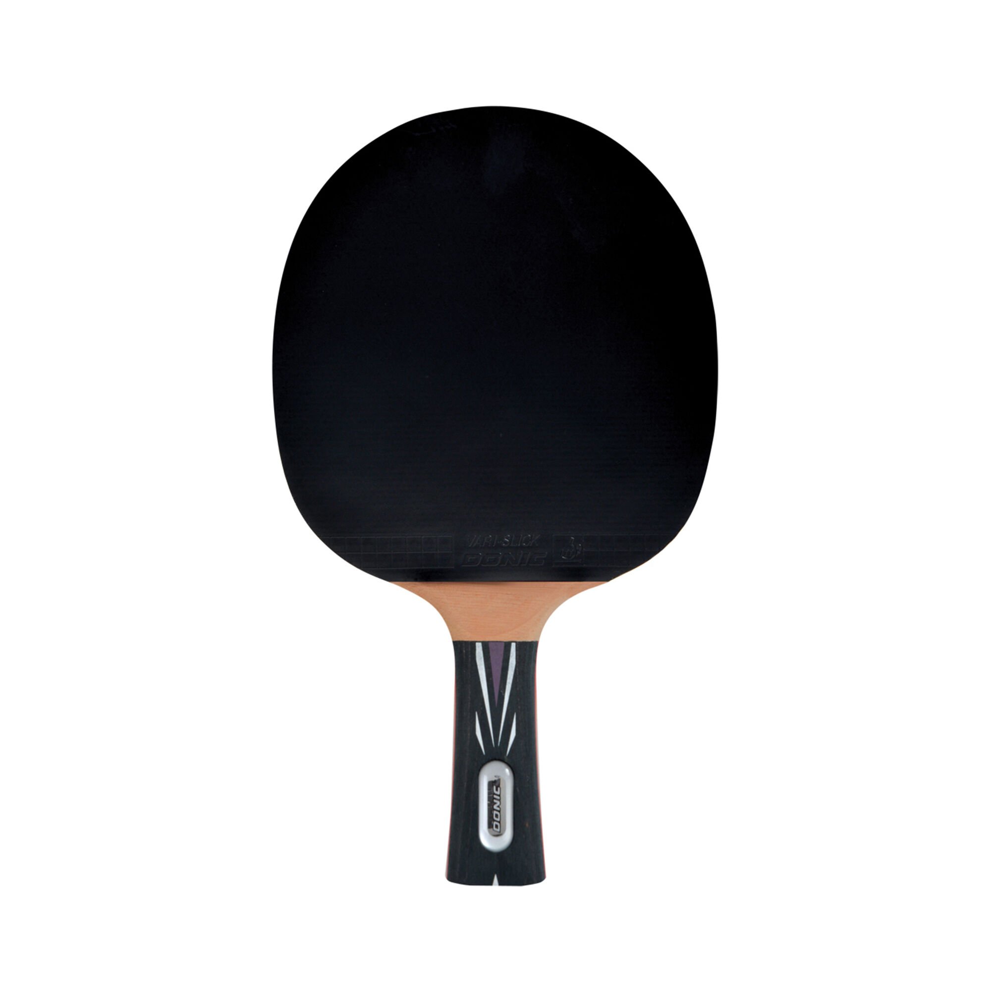 Schildkr&ouml;t Fitness