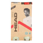 HEAD Tennisbold HEAD Championship Bi Pack 2x d&aring;se med 4 