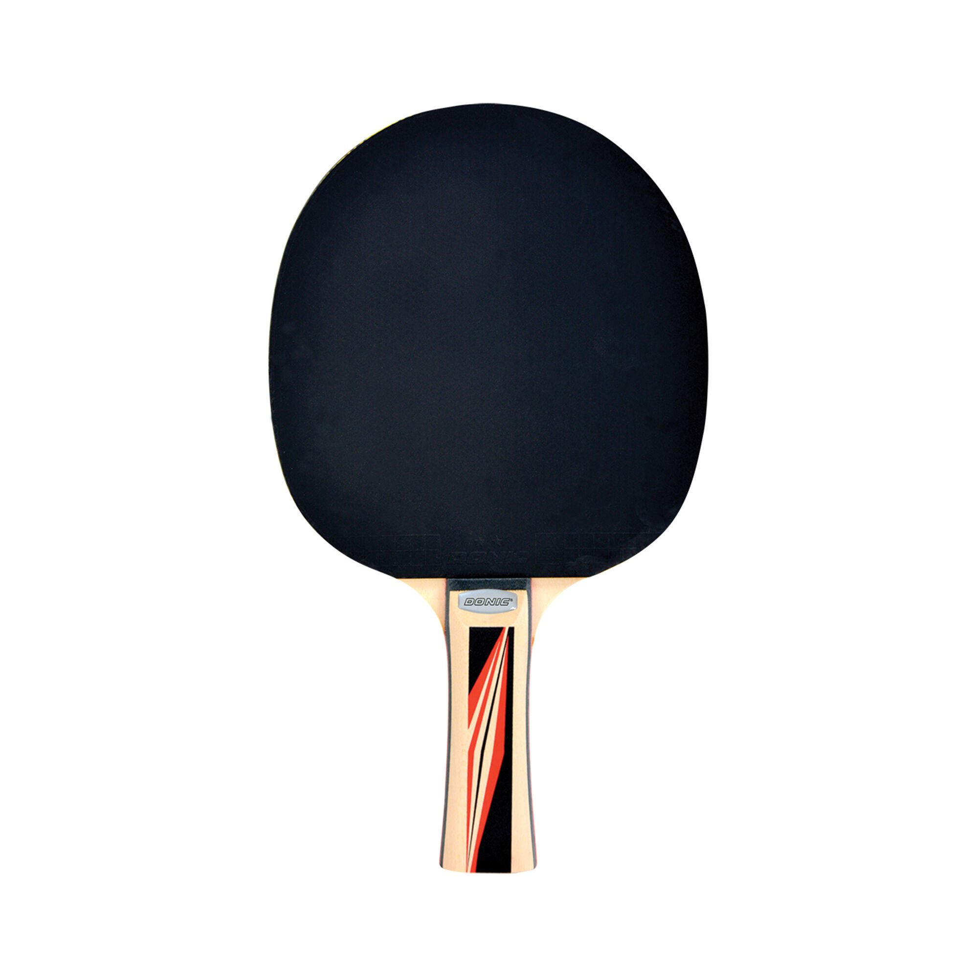 Schildkr&ouml;t Fitness