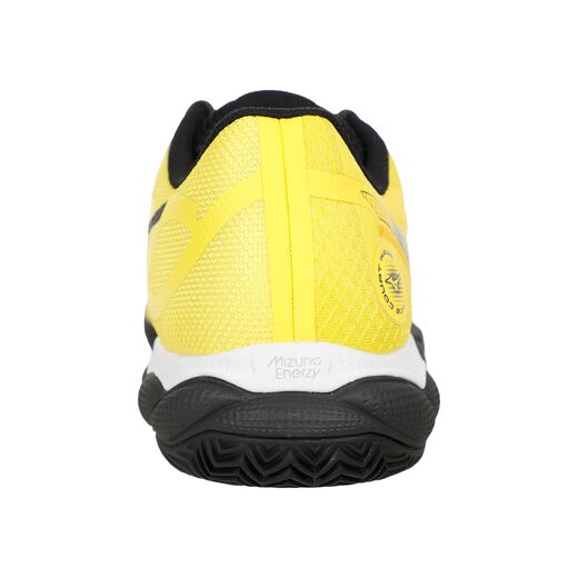 Mizuno