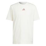 adidas Tøj adidas Designed For Training Intense T-shirt Herrer-Hvid