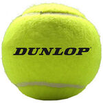 Dunlop Kæmpebolde Dunlop Giant Ball Pakke Med 1