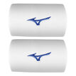 Mizuno