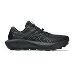 ASICS Løbesko ASICS Gel-Trabuco 13 GTX Trailsko Herrer-Sort,Lysegrå
