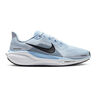 Pegasus 41