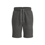 BIDI BADU Tøj BIDI BADU Chill Shorts Herrer-Grå