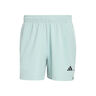 D4T Essentials Shorts Herrer-mint