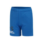 Under Armour Tøj Under Armour Tech Logo Shorts Drenge-Blå