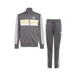 adidas 3Stripes Essentials Tiberio Tee
